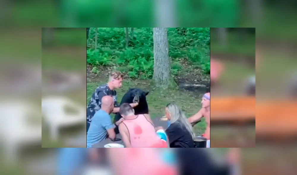 Video es viral en Facebook. El animal sorprendió a los familiares mientras comían y uno de ellos grabó la inusual escena para compartirla en las redes. Fotocaptura: Twitter Video es viral en Facebook. El animal sorprendió a los familiares mientras comían y uno de ellos grabó la inusual escena para compartirla en las redes. Fotocaptura: Twitter