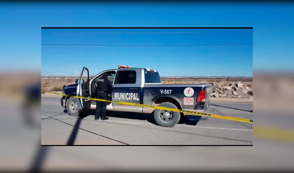 Hallan cabeza humana clavada en una estaca Hallan cabeza humana clavada en una estaca