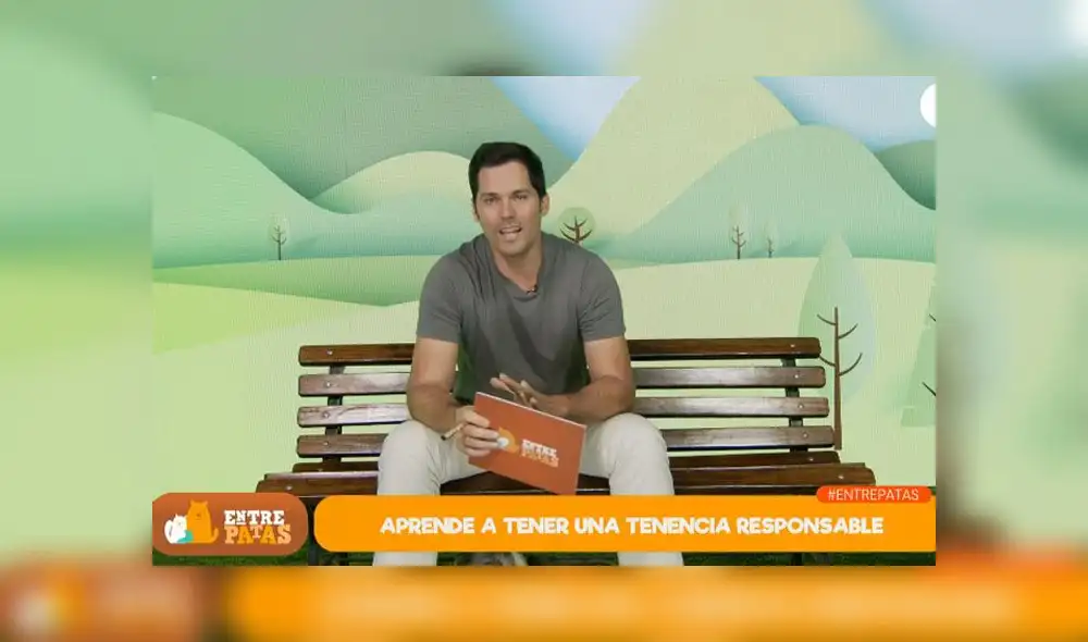 ¿Cómo tener una tenencia responsable? -Entre Patas 