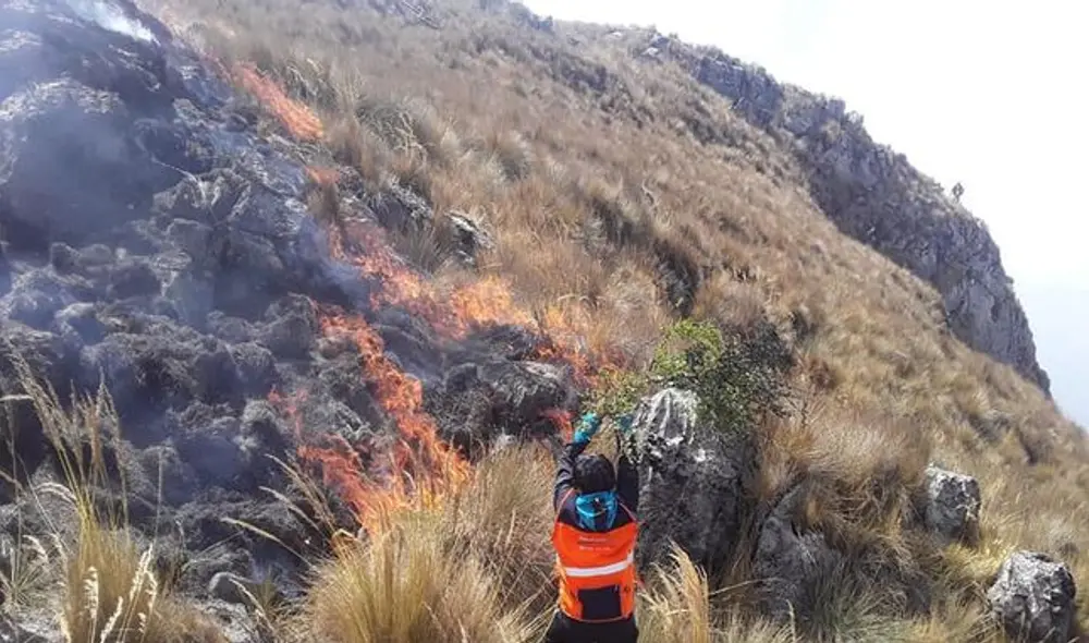 Apurímac: Reaviva voraz incendio que amenaza al Santuario Nacional de Ampay