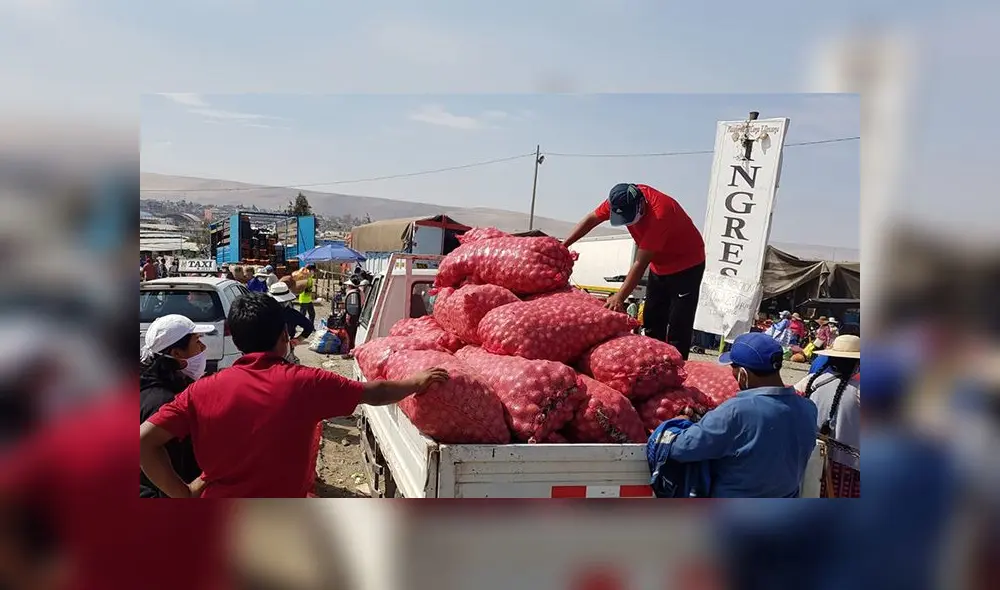 Agricultores se quejan por falta de facilidades para expender sus mercancías en Tacna. Agricultores se quejan por falta de facilidades para expender sus mercancías en Tacna.