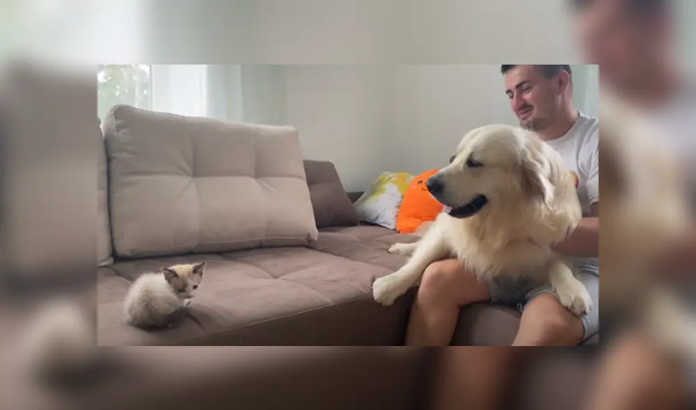 Desliza hacia la izquierda para ver las imágenes del viral de Facebook. Foto: Captura. Desliza hacia la izquierda para ver las imágenes del viral de Facebook. Foto: Captura.