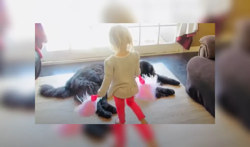 Desliza las imágenes para ver más detalles sobre este tierna escena.