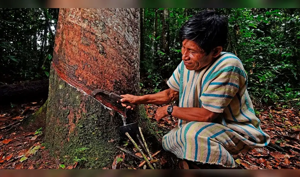 Comunidades indígenas no cederán hasta que anulen resoluciones que afectan la consulta previa