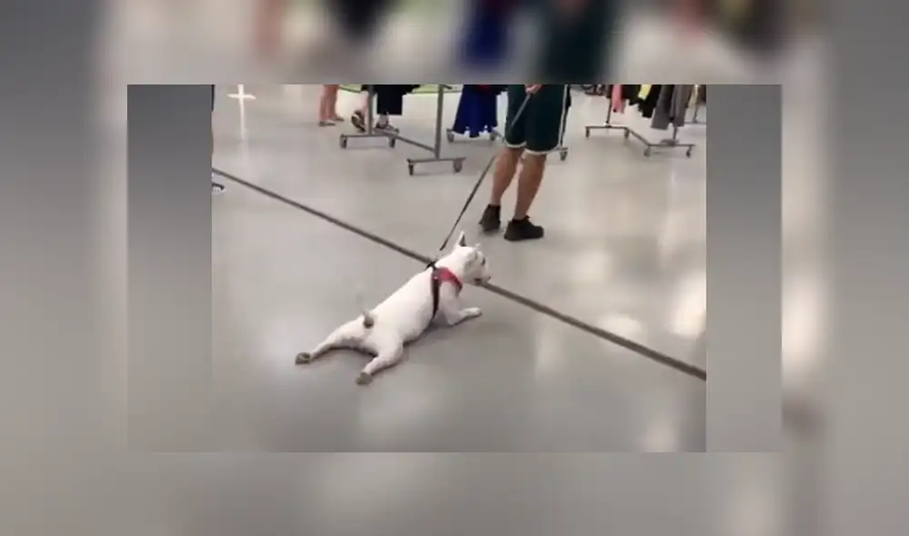 Desliza hacia la izquierda para ver las imágenes del viral de YouTube. Foto: Captura. Desliza hacia la izquierda para ver las imágenes del viral de YouTube. Foto: Captura.