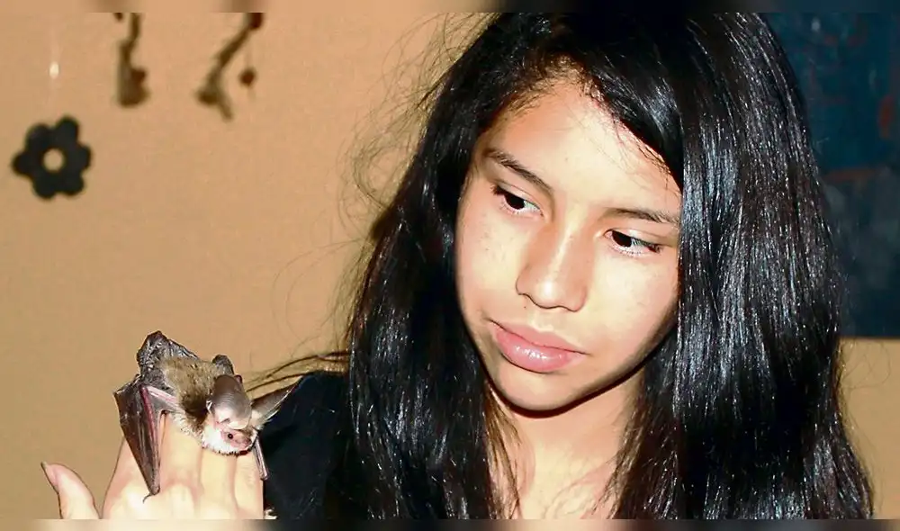 MAMÍFEROS. Difunden información sobre estos animales.