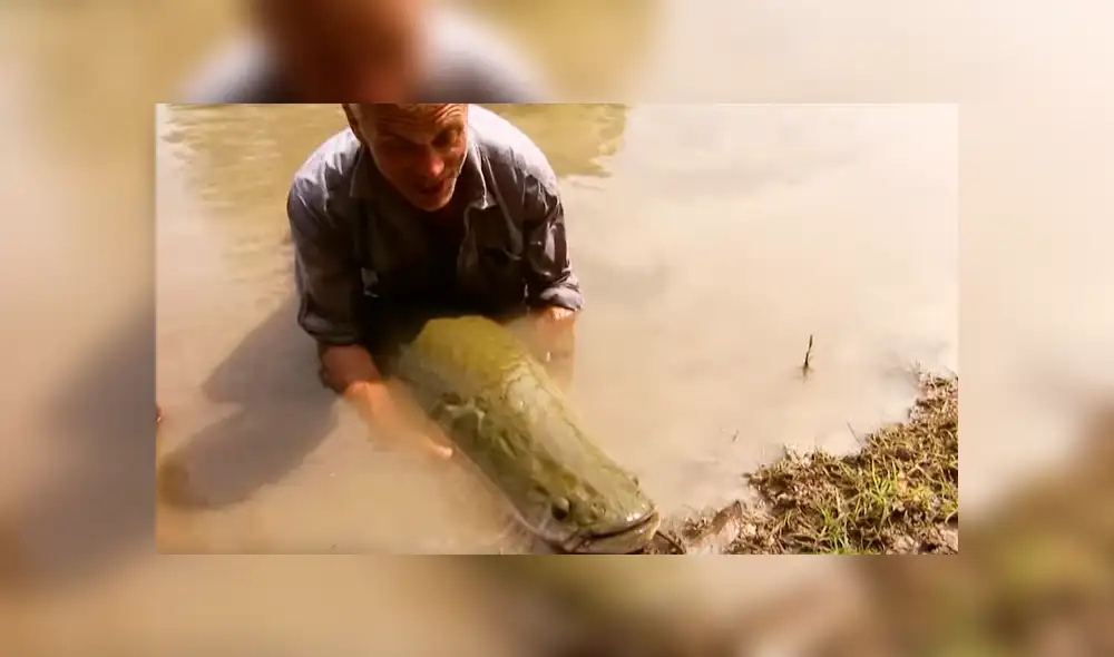 YouTube viral: monstruosa criatura atrapada en río aterra a pescadores [VIDEO]