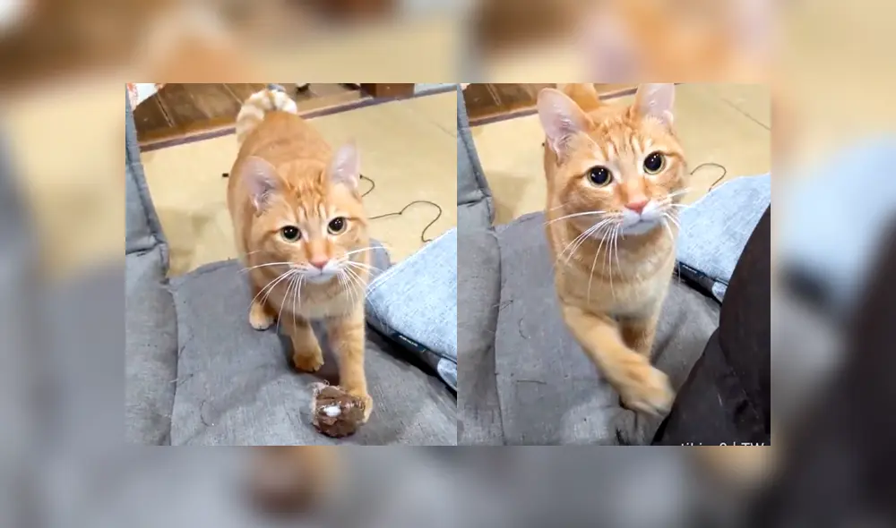 Desliza a la izquierda para ver el gesto que ha conmovido a miles en YouTube. Desliza a la izquierda para ver el gesto que ha conmovido a miles en YouTube.