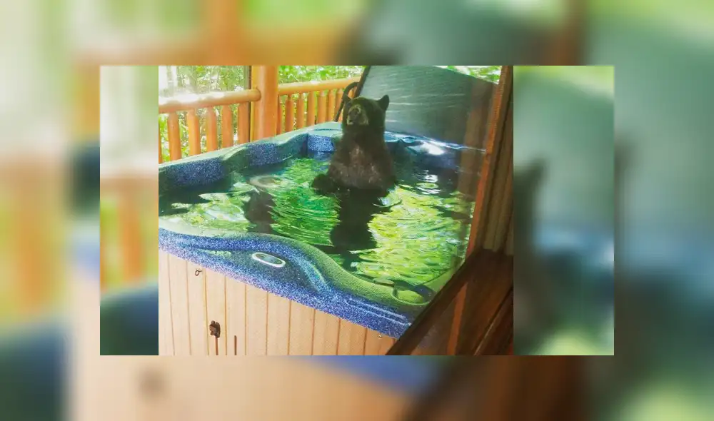 Facebook viral: Novios descubren gigantesca criatura bañándose en su jacuzzi y quedan en shock [VIDEO]