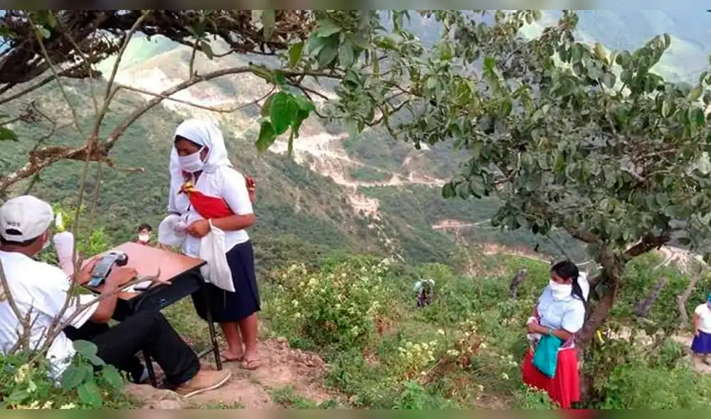 Instalan agente de banco debajo de árbol.