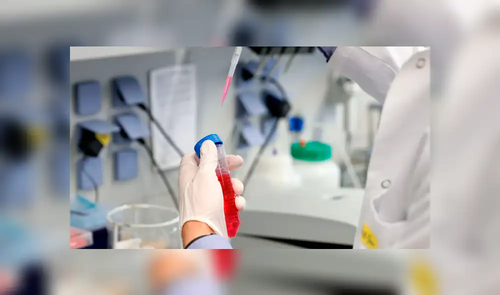 Además de España, participarán en esta prueba otros dos países europeos, Bélgica y Alemania. Foto: EFE Además de España, participarán en esta prueba otros dos países europeos, Bélgica y Alemania. Foto: EFE