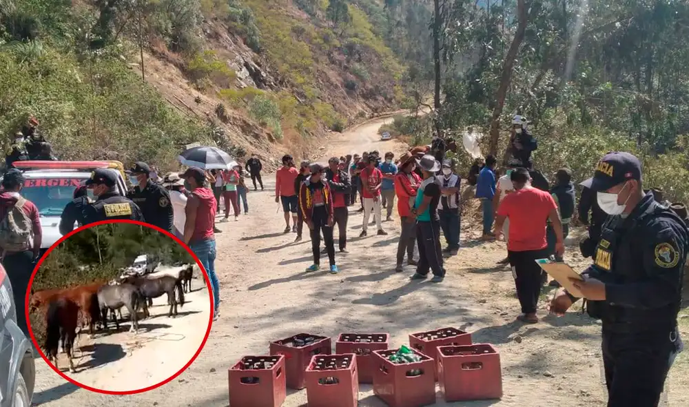 Efectivos policiales también hallaron cajas de cerveza. Fotos: Facebook.