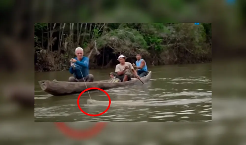 Pescadores ingresan al Amazonas para atrapar a ‘monstruo de río’ y sucede lo peor. Pescadores ingresan al Amazonas para atrapar a ‘monstruo de río’ y sucede lo peor.