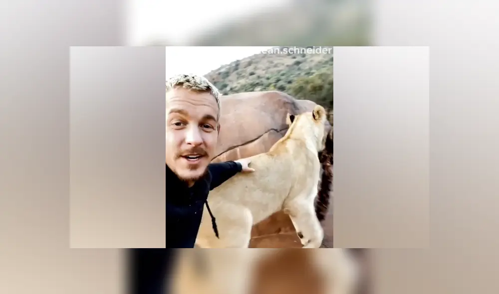 Desliza hacia la izquierda para ver las imágenes del viral de Facebook. Foto: Captura. Desliza hacia la izquierda para ver las imágenes del viral de Facebook. Foto: Captura.