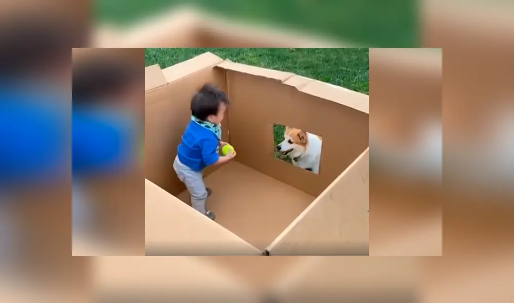 Desliza las imágenes para apreciar el conmovedor momento entre un bebé junto a su adorada mascota.