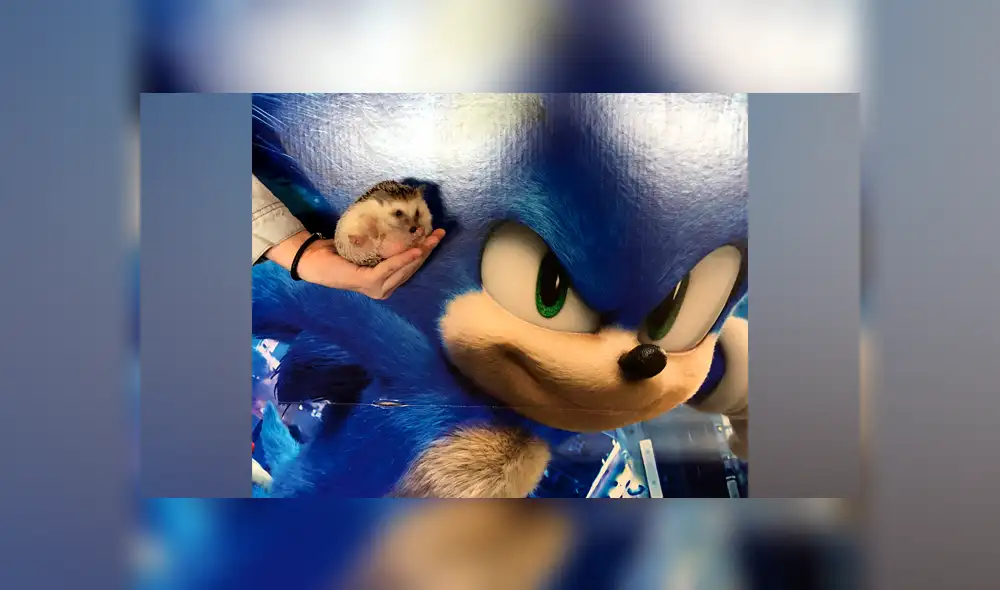 Desliza a la izquierda para ver las divertidas fotos entre Bandit y Sonic. (Foto: Facebook)