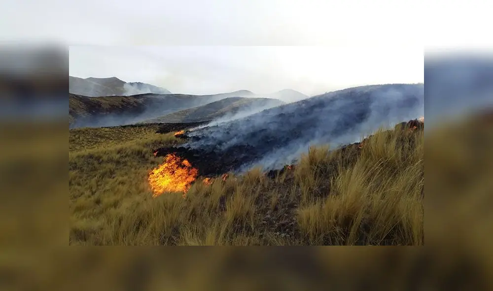 Responsable de incendio podría recibir una sanción