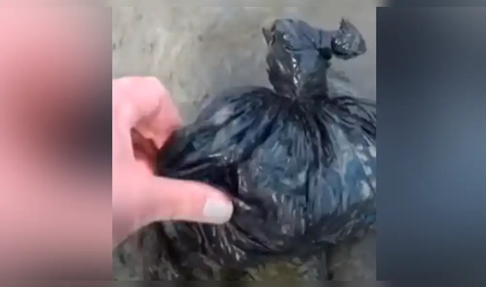 Facebook viral: se topa con extraña bolsa abandonada en río de Inglaterra y encuentra increíble tesoro dentro Facebook viral: se topa con extraña bolsa abandonada en río de Inglaterra y encuentra increíble tesoro dentro