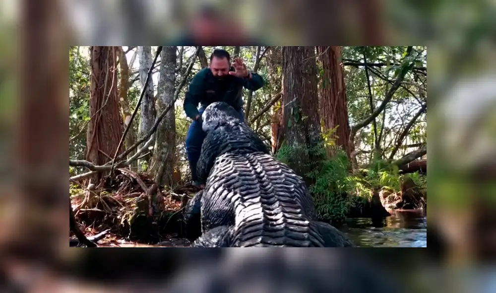 Desliza para ver el encuentro que tuvo un hombre con gigantescos cocodrilos  ha causado pánico en miles de usuarios de YouTube.