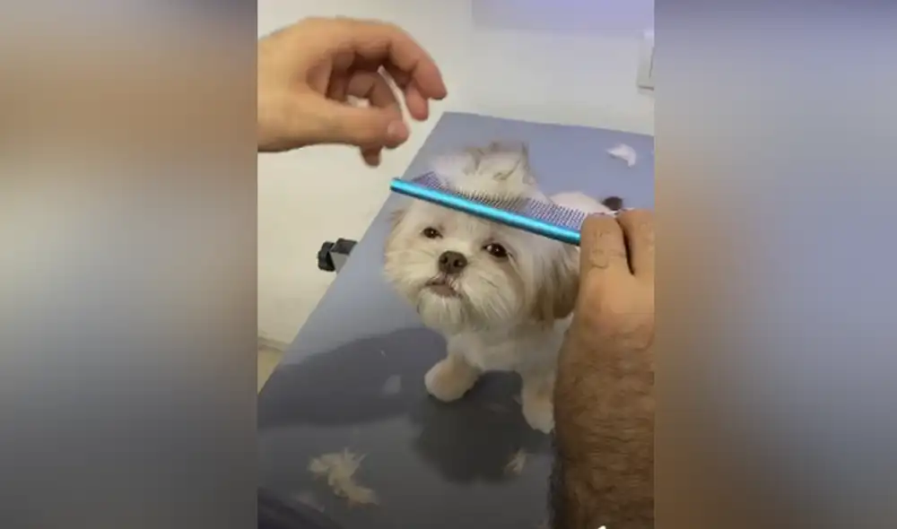 Desliza hacia la izquierda para ver las imágenes del video viral. Foto: captura de Facebook. Desliza hacia la izquierda para ver las imágenes del video viral. Foto: captura de Facebook.