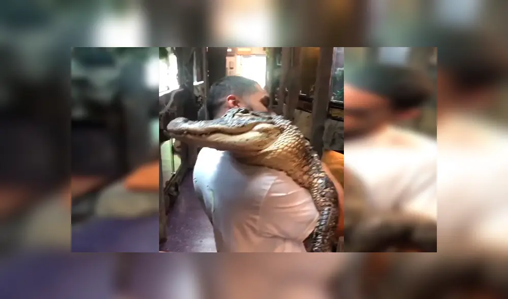 En YouTube, un joven no tuvo temor en cargar un enorme cocodrilo y para su buena suerte no sufrió un ataque.