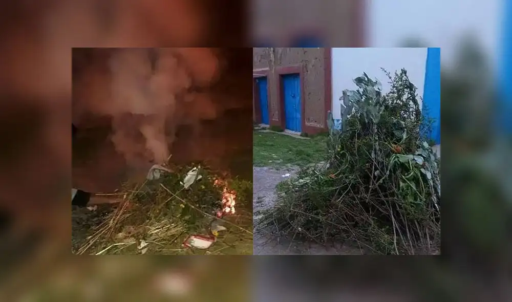 En localidad de Puno, utilizan hierbas para desinfectar sus viviendas.