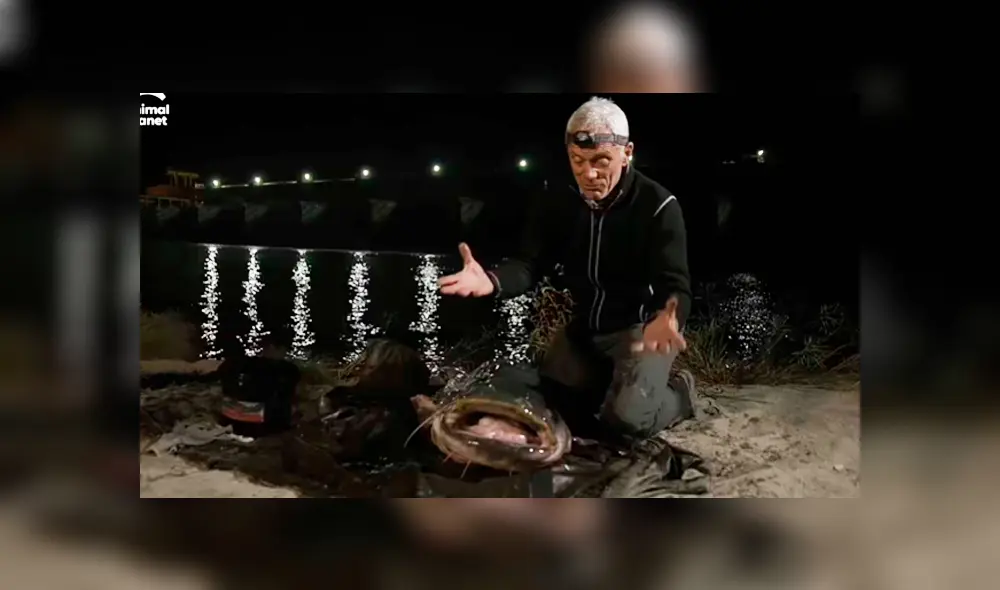 Desliza hacia la izquierda para ver al gigantesco pez que se volvió viral en YouTube. Desliza hacia la izquierda para ver al gigantesco pez que se volvió viral en YouTube.