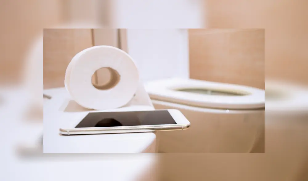 Holanda celular Holanda celular