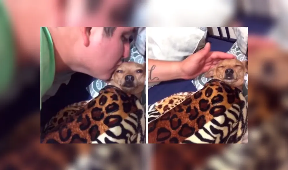 En Facebook, un joven fue captado en una amorosa escena al lado de un perro que rechazó para adoptarlo. En Facebook, un joven fue captado en una amorosa escena al lado de un perro que rechazó para adoptarlo.