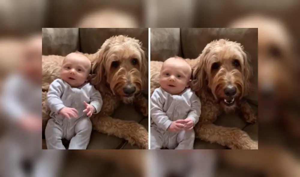 Desliza hacia la izquierda para ver las imágenes del viral de YouTube. Foto: Captura.