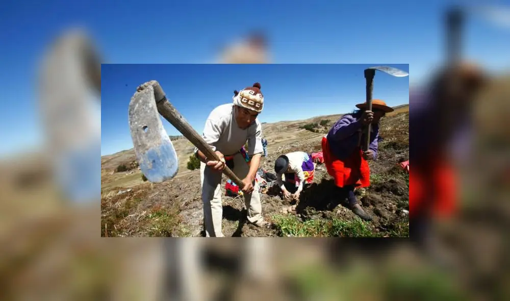 Foto referencial Foto referencial