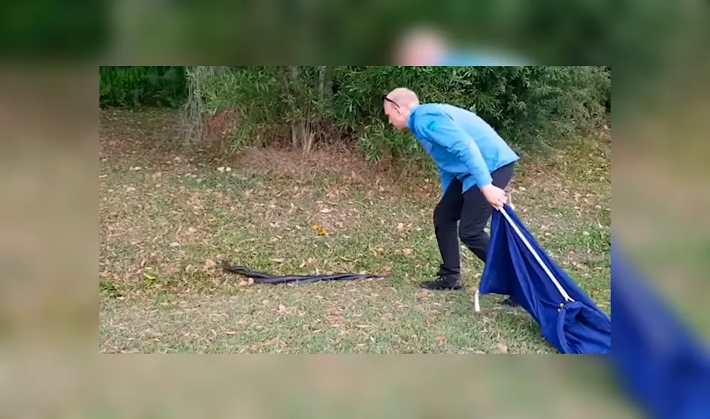 YouTube viral: creyó encontrar a dos serpientes 'apareándose', se acerca y queda aterrado al descubrir la verdad