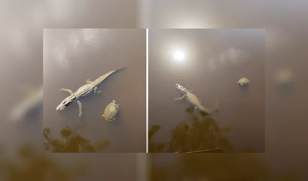 Desliza hacia la izquierda para ver las imágenes del viral de YouTube. Foto: Captura. Desliza hacia la izquierda para ver las imágenes del viral de YouTube. Foto: Captura.