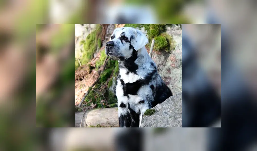 Desliza la imagen de Facebook para ver todas las fotos. Desliza la imagen de Facebook para ver todas las fotos.