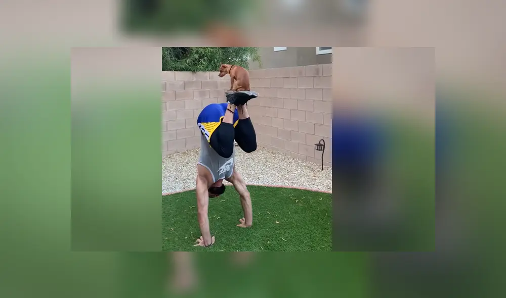 A través de YouTube se hizo viral el momento en que un joven realiza unas asombrosas acrobacias junto a su dueño.