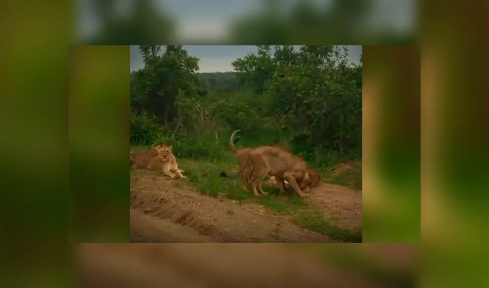 Desliza hacia la izquierda para ver las imágenes del video viral de YouTube.