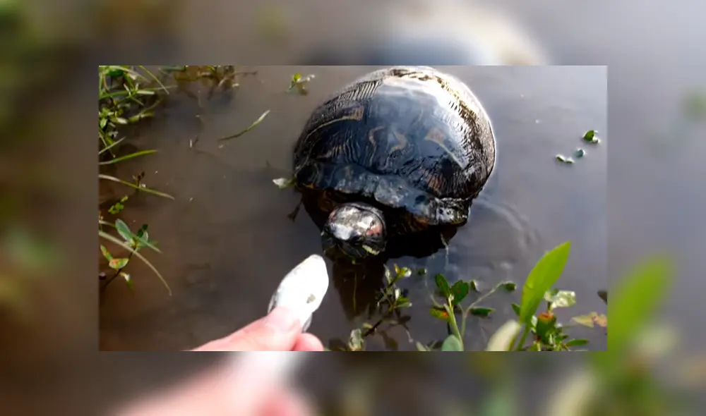 Desliza para ver los momentos más impactantes del video que se hizo viral en Facebook.