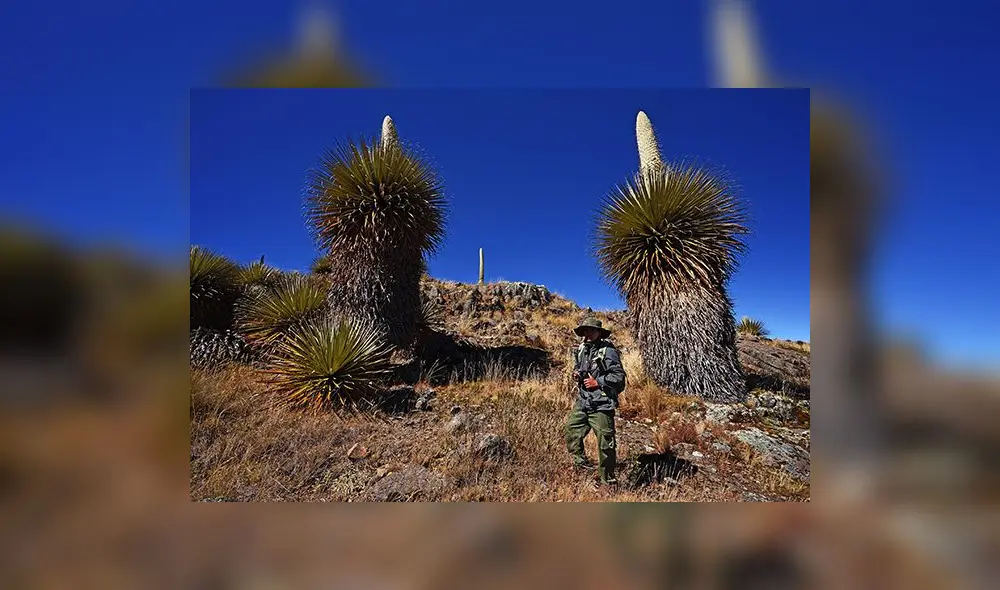 La Libertad: Conoce las nuevas rutas de la Reserva y Santuario Nacional de Calipuy 