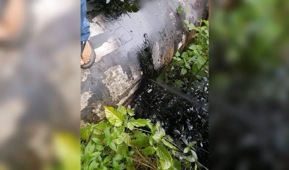 Oleoducto Norperuano