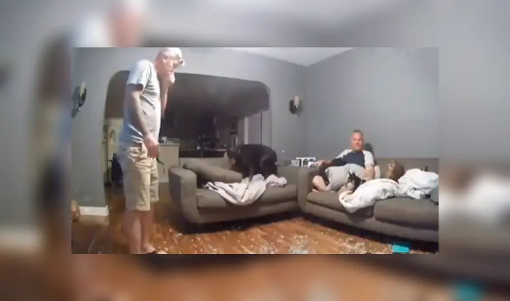 Desliza las imágenes hacia la izquierda para apreciar el terrible accidente que protagonizó un perro. Desliza las imágenes hacia la izquierda para apreciar el terrible accidente que protagonizó un perro.