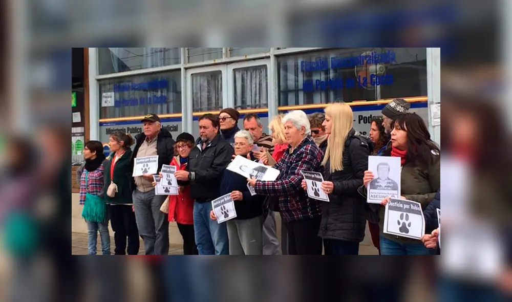 Los animalistas argentinos exigen justicia para Rubio. Foto: Facebook. Los animalistas argentinos exigen justicia para Rubio. Foto: Facebook.