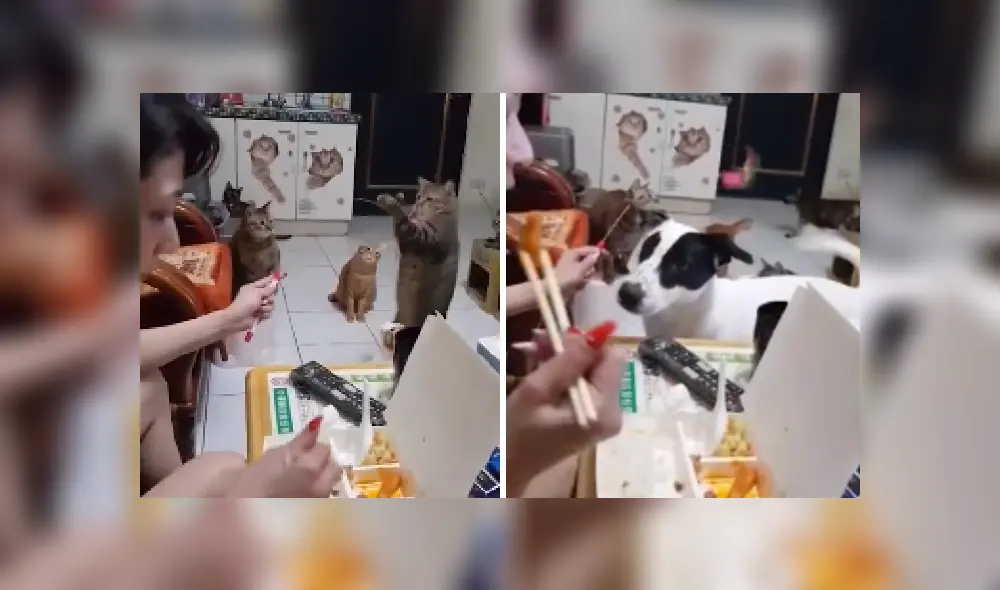 Desliza las imágenes para ver más sobre esta escena que es viral en YouTube. Desliza las imágenes para ver más sobre esta escena que es viral en YouTube.