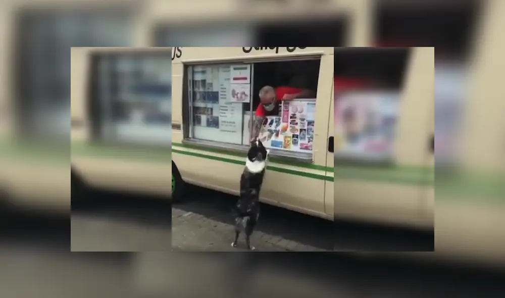 Desliza las imágenes para conocer la tierna reacción de un perro cuando vio al camión de helados. Fotos: Captura.
