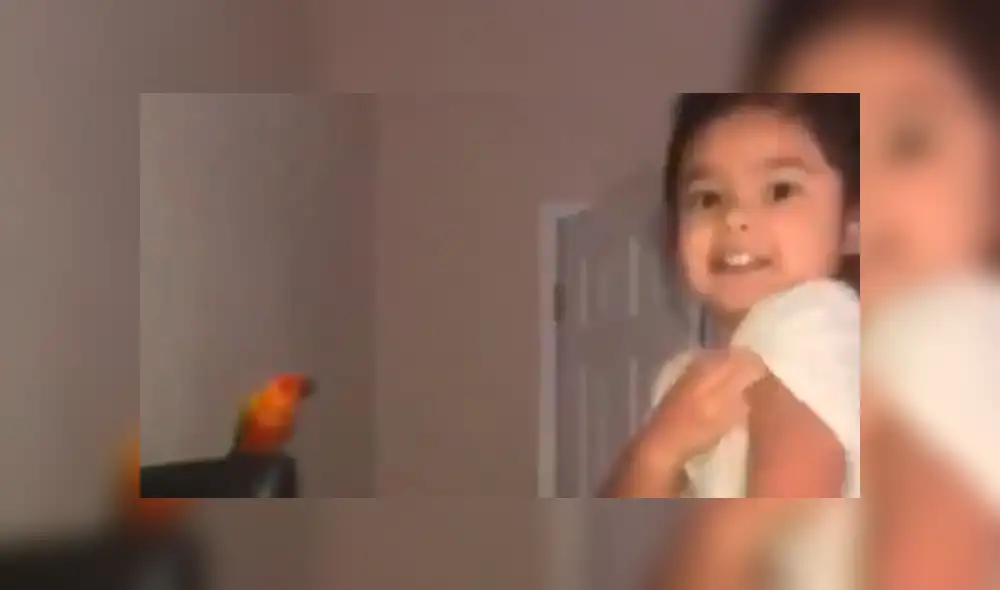 YouTube viral: temible loro es entrenado por una niña para que ataque cuando ella se lo pide [VIDEO]