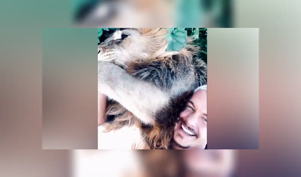 Desliza hacia la izquierda para ver la reacción que tuvo un enorme león con su amo. Escena viral de YouTube. Desliza hacia la izquierda para ver la reacción que tuvo un enorme león con su amo. Escena viral de YouTube.
