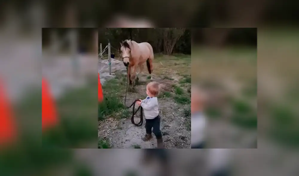 Video viral de YouTube muestra el singular momento en que un bebé guía a un enorme caballo sin temor alguno