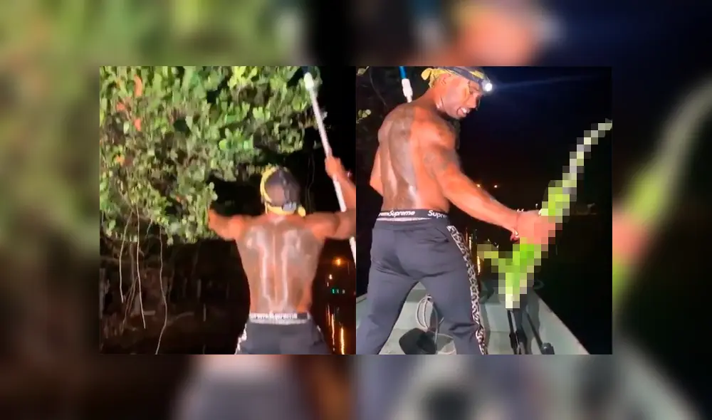 Una misteriosa criatura que estaba en un árbol se abalanzó contra un hombre.