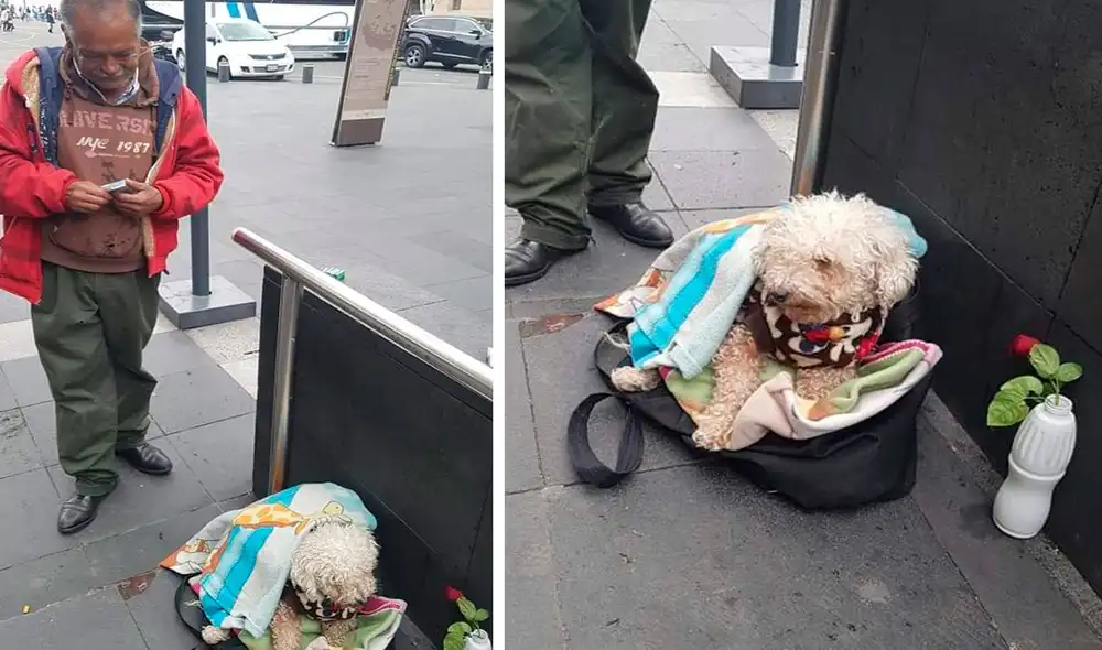 Desliza las imágenes para ver el emotivo gesto de un hombre al proteger y cuidar a su perro que lo acompaña al trabajo. Foto: Facebook
