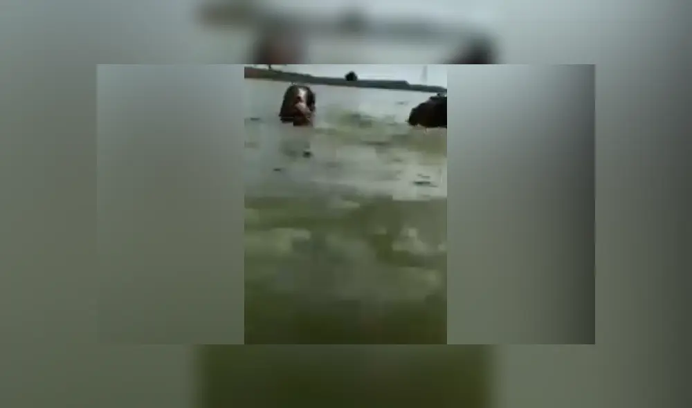 Desliza hacia la izquierda para ver las imágenes del viral de YouTube. Desliza hacia la izquierda para ver las imágenes del viral de YouTube.