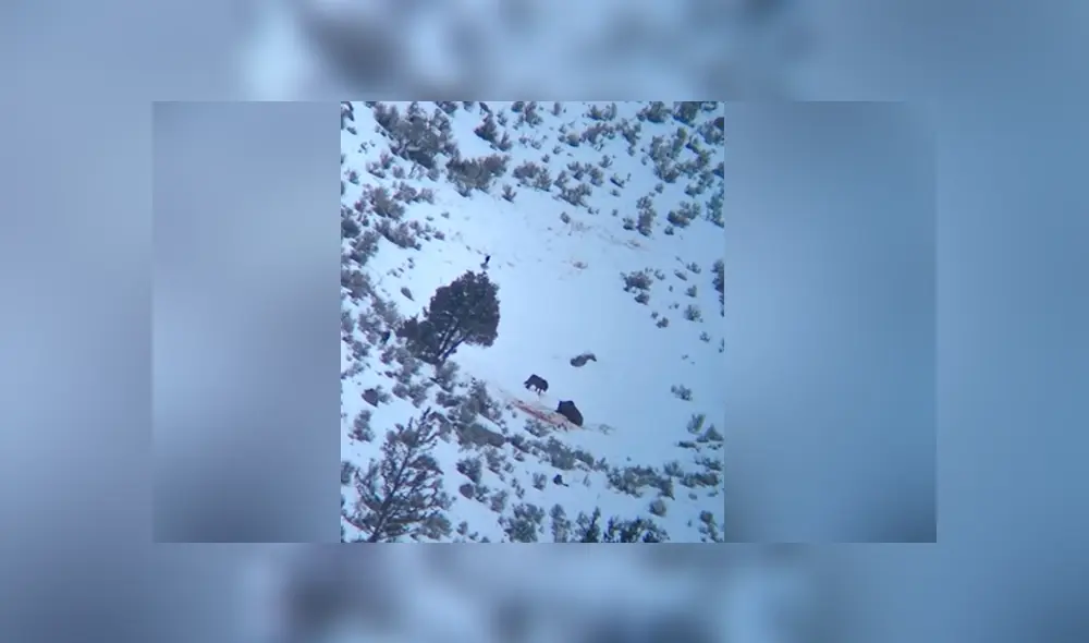 Desliza para ver los momentos más impactantes del video que se hizo viral en Facebook. Desliza para ver los momentos más impactantes del video que se hizo viral en Facebook.